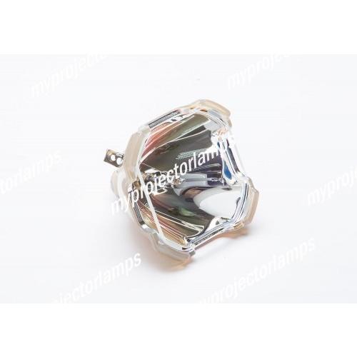 Eiki LC-X4L用 03-900471-01P 対応純正バルブ採用プロジェクター交換用ランプユニット商品