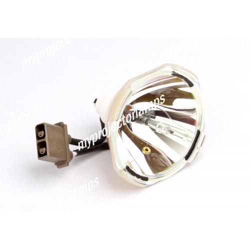Hitachi CP-X955J用 DT00191 対応純正バルブ採用プロジェクター交換用ランプユニット商品