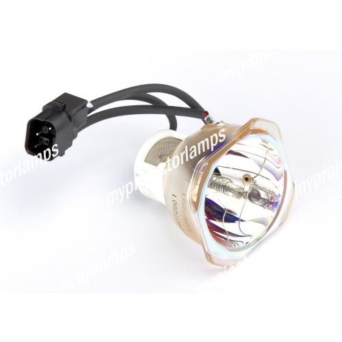 NEC LT245 プロジェクター本体 NEC LT245J用 456-8760 対応純正バルブ採用プロジェクター交換用ランプ