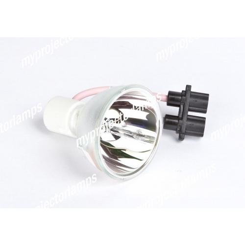 Optoma DS315用 BL-FS180B 対応 【純正バルブ採用】プロジェクター交換