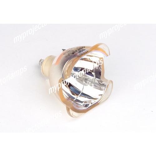 OPTOMA ES520用 5811100256-S 対応純正バルブ採用プロジェクター交換用ランプユニット商品
