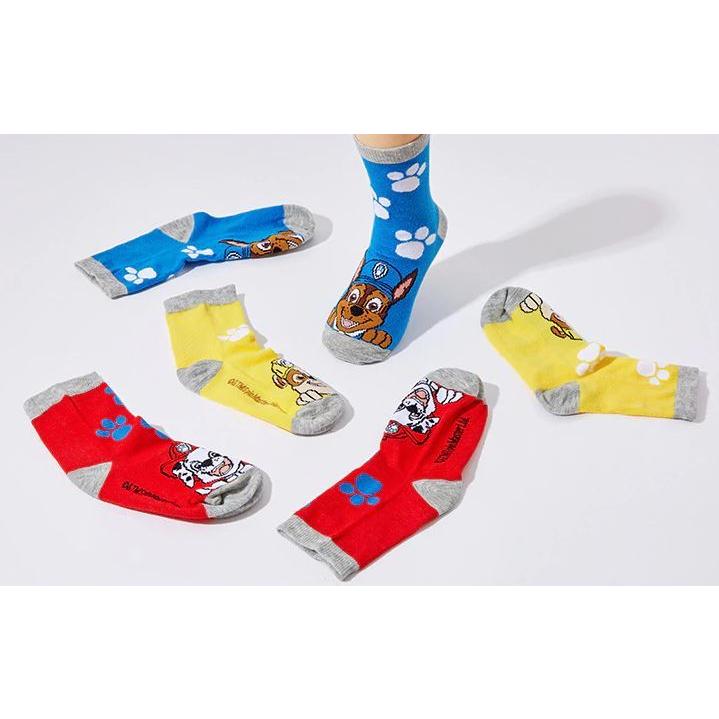パウパトロール　靴下　3足セット　(2歳-9歳) ニコロデオン　公式　SpinMaster |  | 05