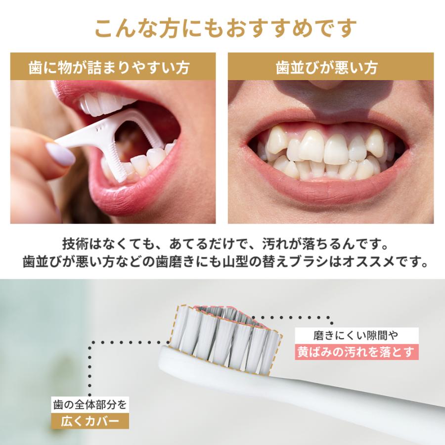 山型 替えブラシ 3本セット デュポン社製ナイロン Epeios ET003 ET005