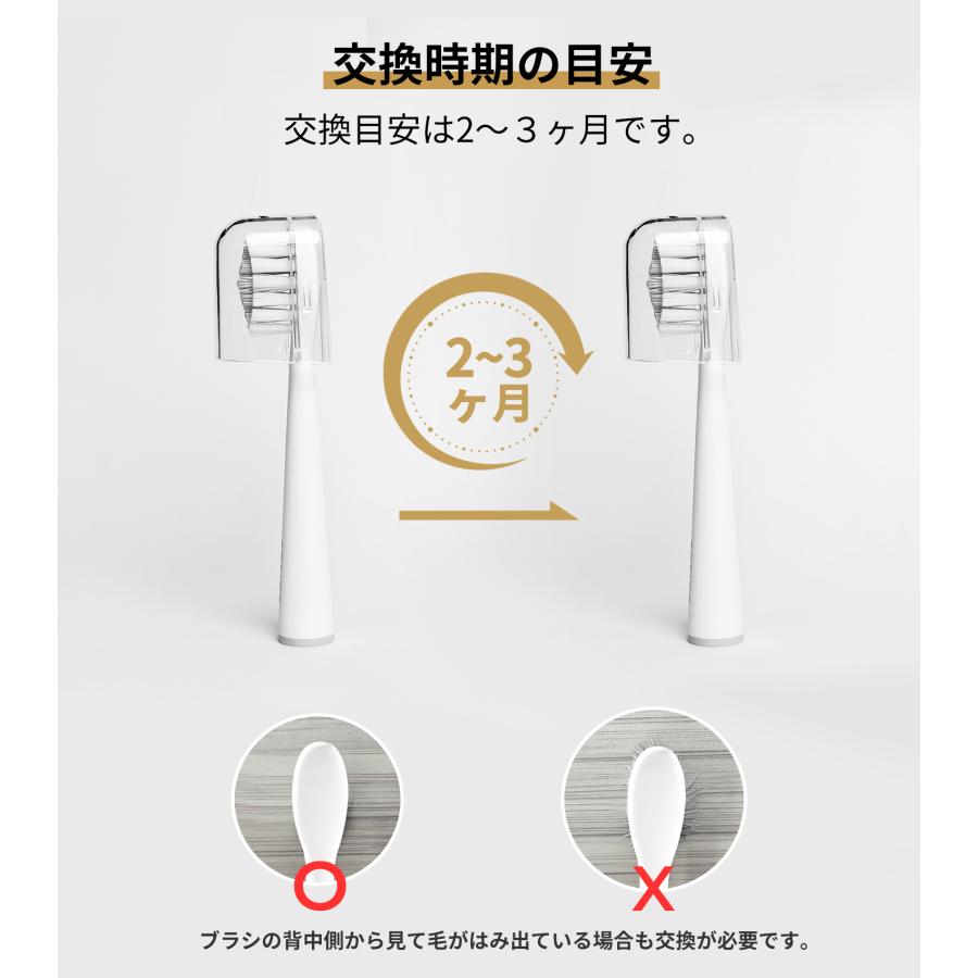 山型 替えブラシ 3本セット デュポン社製ナイロン Epeios ET003