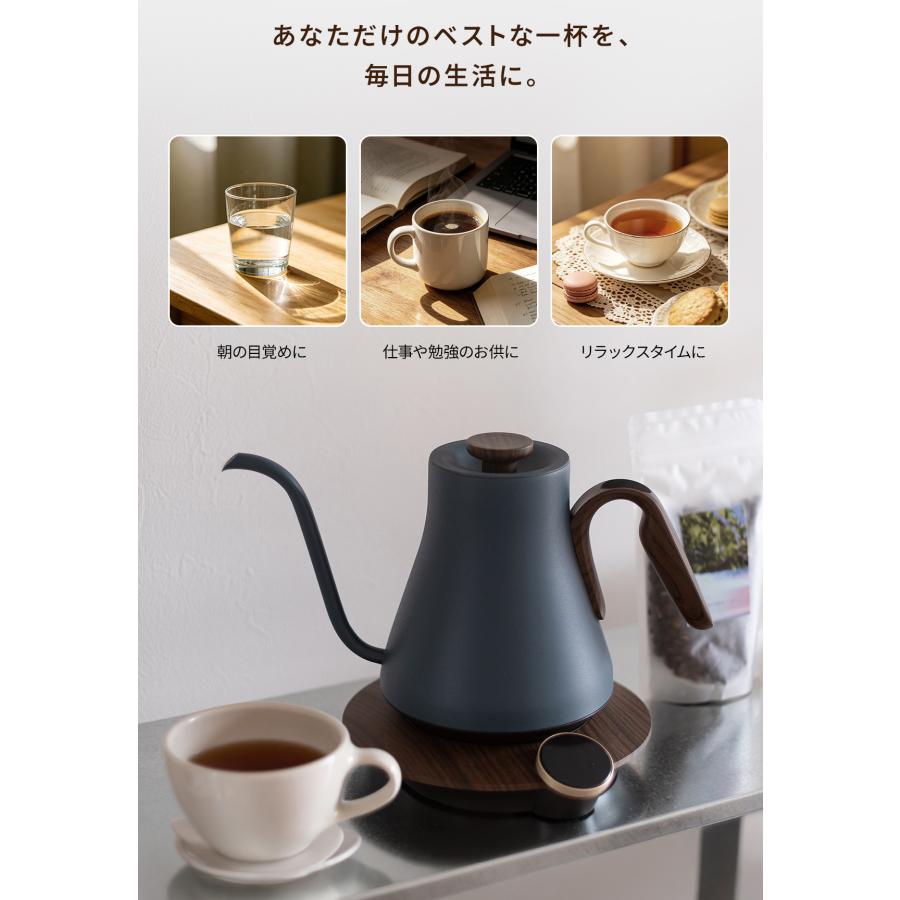 EPEIOS（エペイオス） 【新発売CP001 GEN2.0】EPEIOS ドリップ ケトル