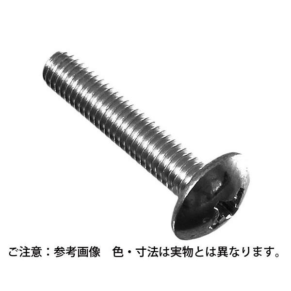 日本に ステンレス 入数２００ サイズ８ｘ２５ トラス頭小ネジ 材料 資材