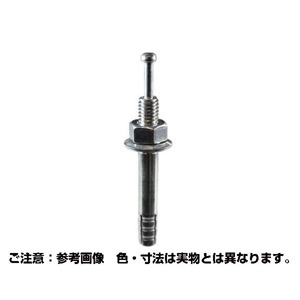 54-095 ステンオールアンカー SC-1012 約50入