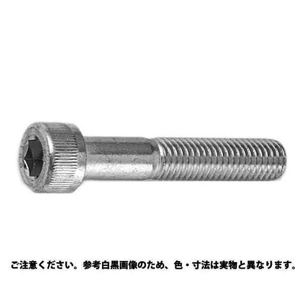 ＣＡＰ（ＮＢＩ 規格(10X200) 入数(30)