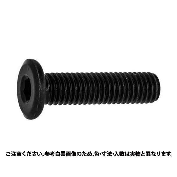 ＳＵＳゴクウスＮＳローヘッド　材質(ステンレス)　規格(12X70)　入数(40)