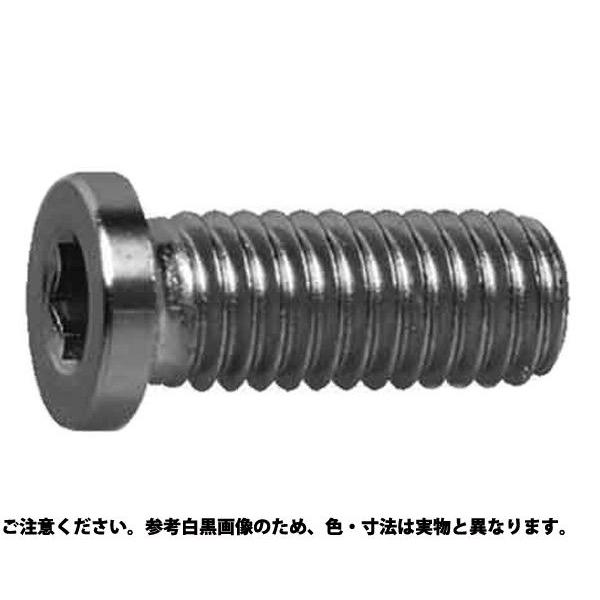 ＳＵＳ　コアタマＮＳローヘッド 材質(ステンレス) 規格(10X30) 入数(100)