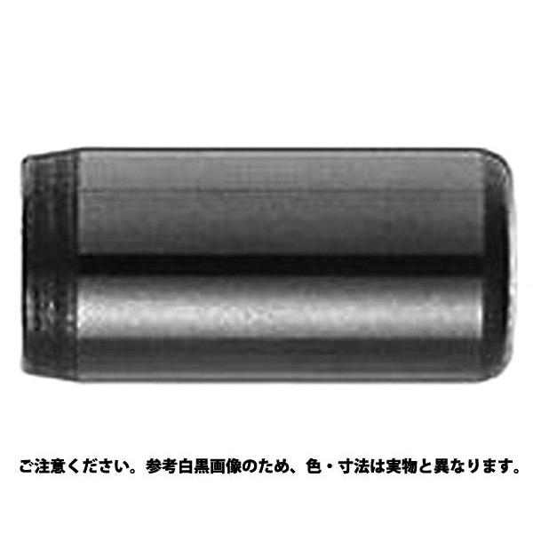 日替わりスペシャル ダウエルピンＤＰ（ヒメノＭ６ 規格(10X60) 入数(100) 【ダウェルピン（Ｍ６・姫野製）シリーズ】