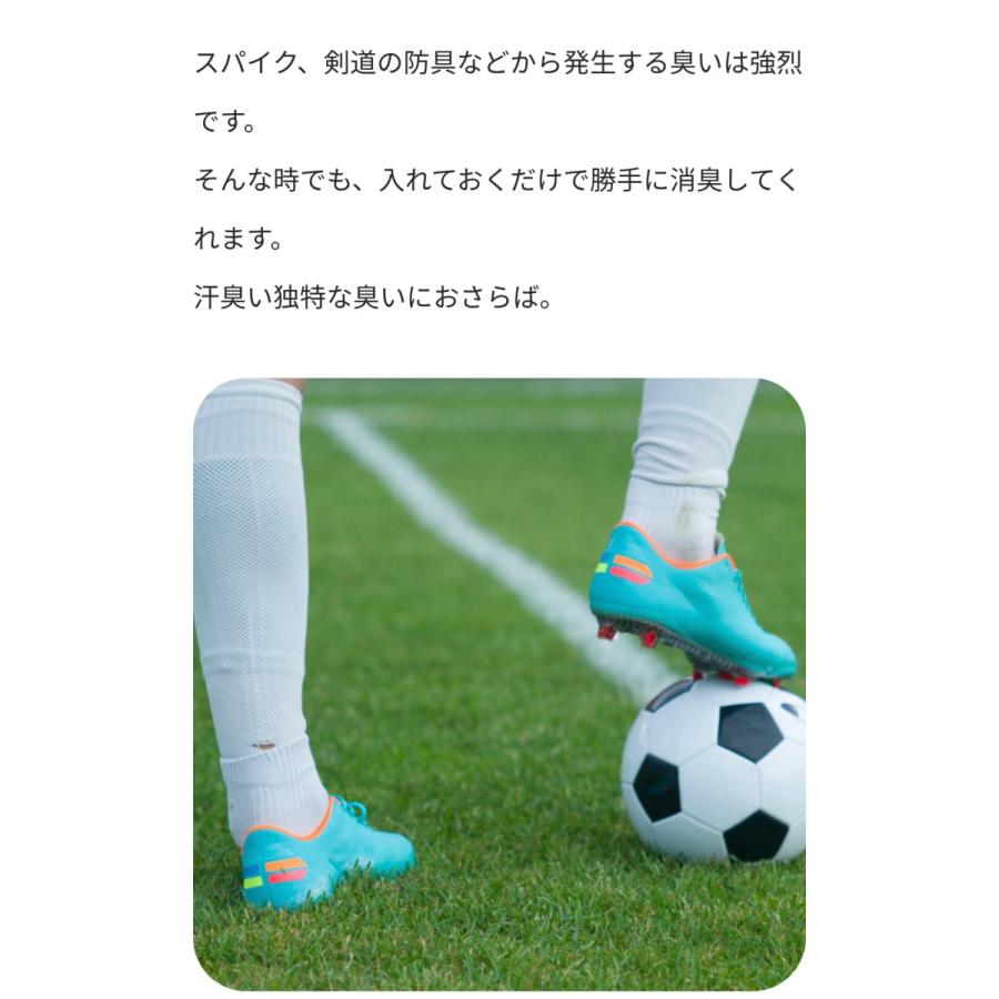 マスクフジコー 脱臭剤 kila clean(キラ・クリーン) 2個入り×2袋 送料無料 |  | 06