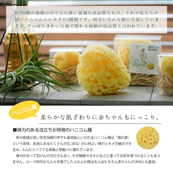 メーカー直送 天然海綿ハニコム種 Mサイズ 1コ入 Bellini (ベリーニ) 天然海綿スポンジ ハニコム種 イエロー Mサイズ