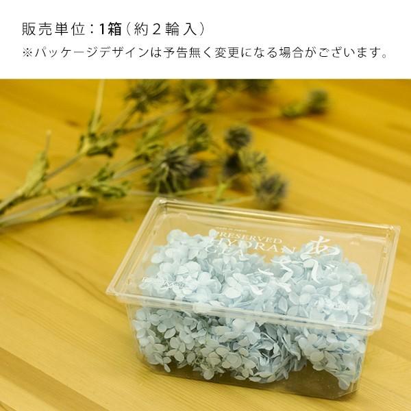 ソフトピラミッドアジサイ ヘッド ロイヤルブルー プリザーブド 