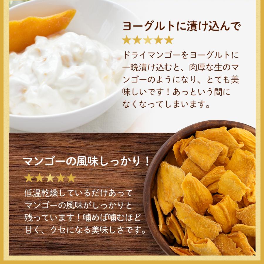 ポイント消化 ポイント消費 ドライフルーツ ドライマンゴー 砂糖不使用