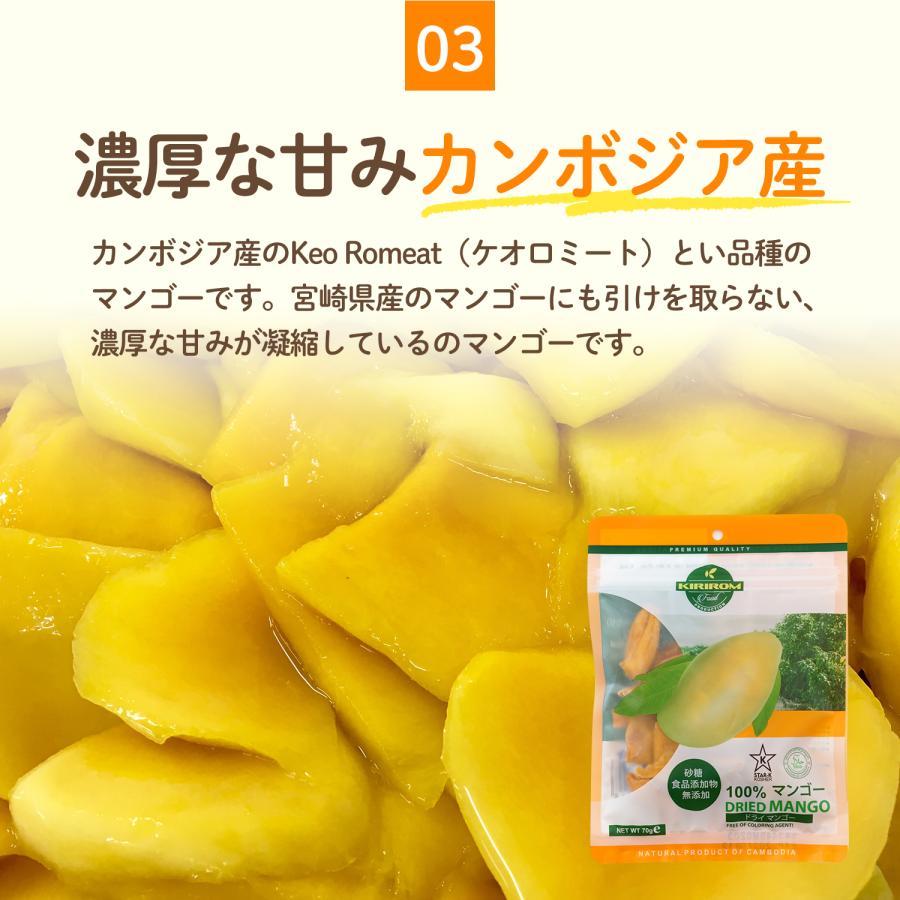 ドライフルーツ マンゴー ドライマンゴー 砂糖不使用 無添加 70g x 10