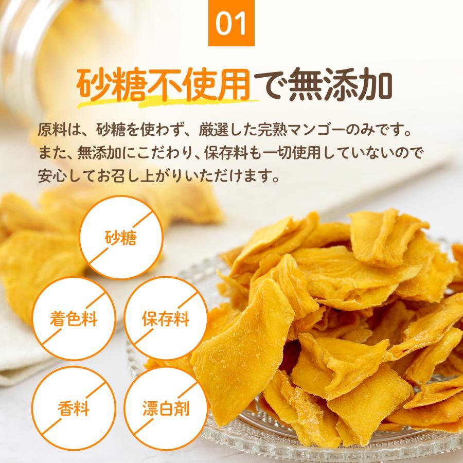 ドライフルーツ マンゴー ドライマンゴー 砂糖不使用 無添加 70g x 10