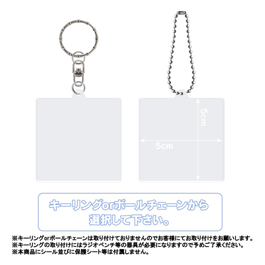 【アクリル】残り1セット！シール キーホルダー プレート ボールチェーン付き アクリル キーホルダー 手作り キット 10個セット プレート 土台