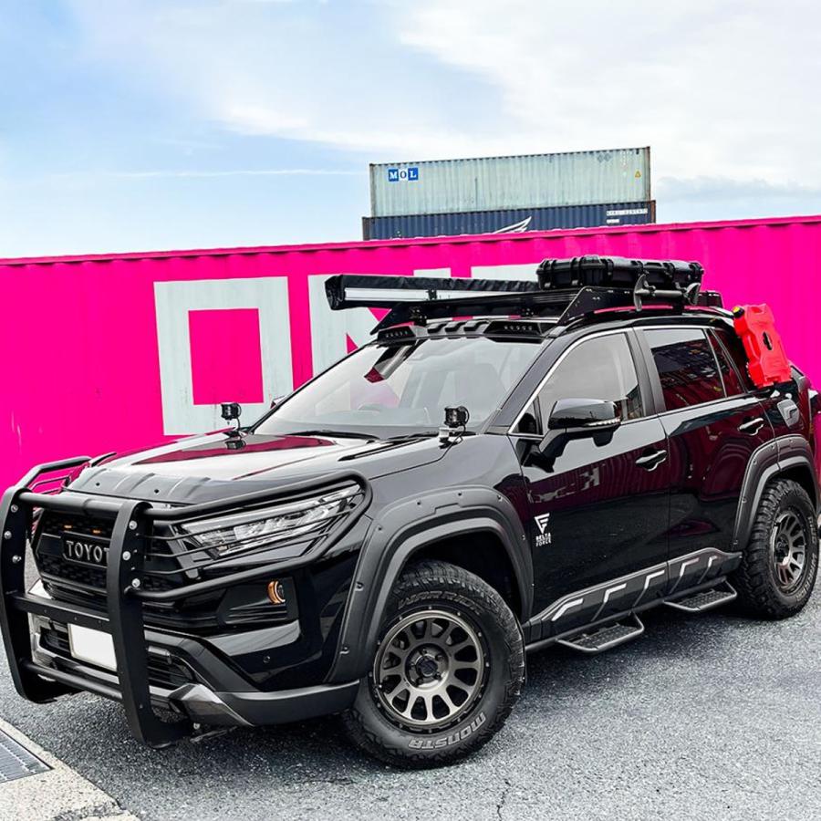 RAV4 50系 サイドプロテクター 未塗装 サイドドア モール エアロ RAV4 50系 サイドプロテクター 未塗装 サイドドア モール エアロ
