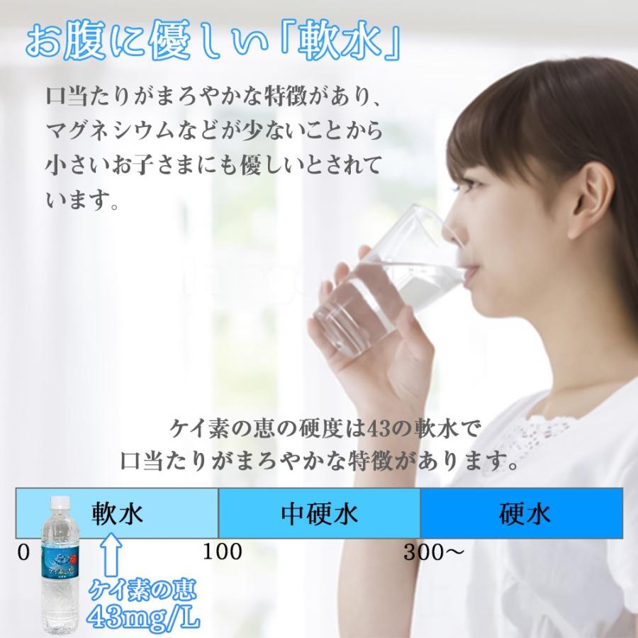 シリカ水 525ml 24本セット ケイ素水 ケイ素の恵 軟水 ミネラルウォーター 国産 大分県産 阿蘇くじゅう連山 天然水 飲むシリカ Simegumi525 24 Nexus Japan ネクサスジャパン 通販 Yahoo ショッピング