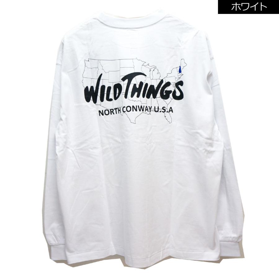 WILD THINGS（ワイルドシングス） 全3色 ロンT BIRTH PLACE L/S Tee T