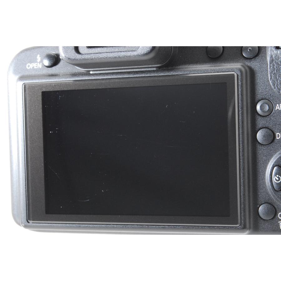 LUMIX FZシリーズ Panasonic パナソニック DMC-FZ48 新品SD32GB付き