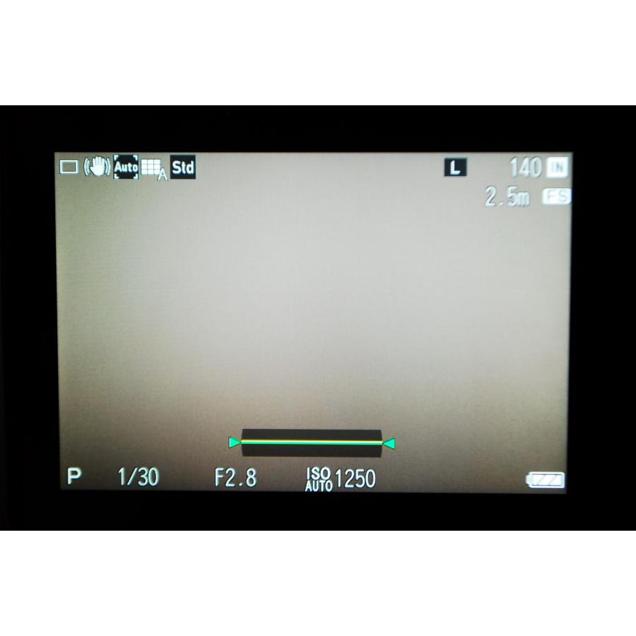 RICOH GR リコー III ショット数6207回 : 山ウサギカメラ - 通販