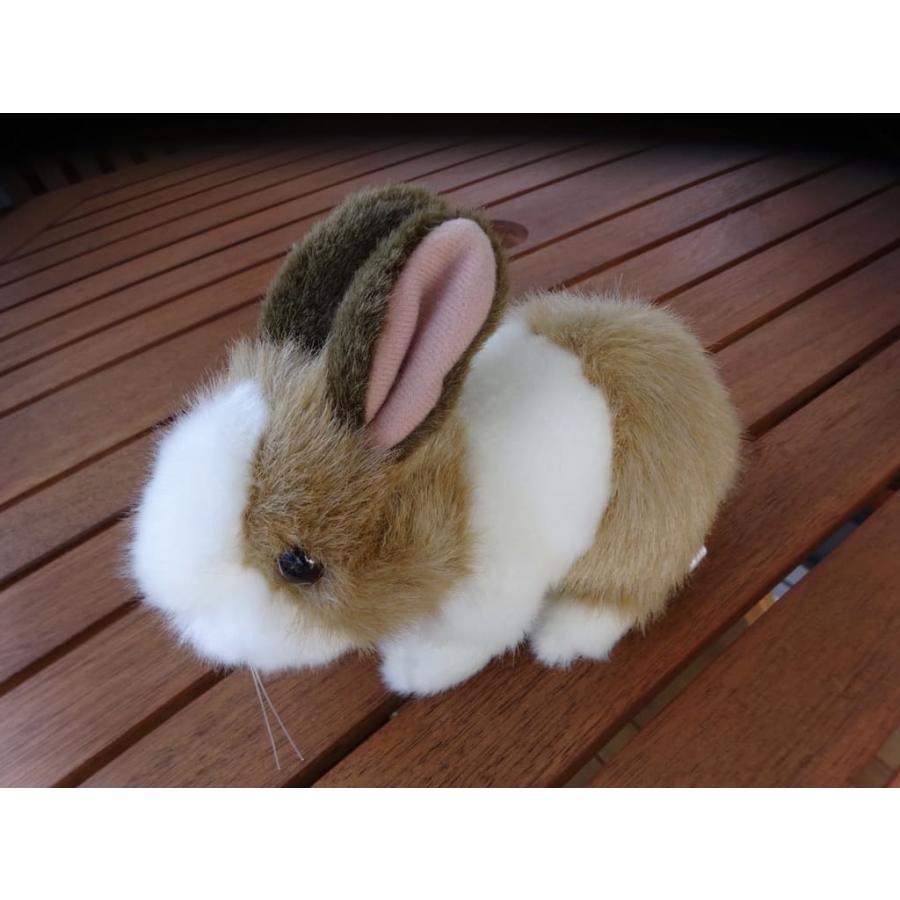 SONY ソニー DSC-WX350 ピンク | サイバーショット WXシリーズ | 08