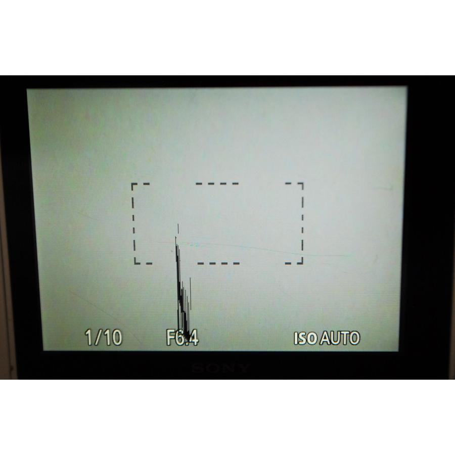 SONY ソニー Cyber-shot DSC-WX500 ホワイト | サイバーショット WXシリーズ | 08