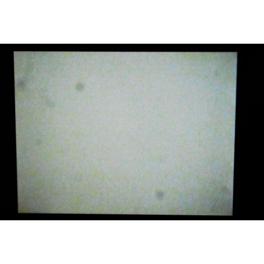 RICOH リコー CX6 ブラック ショット数234回 | リコー | 06