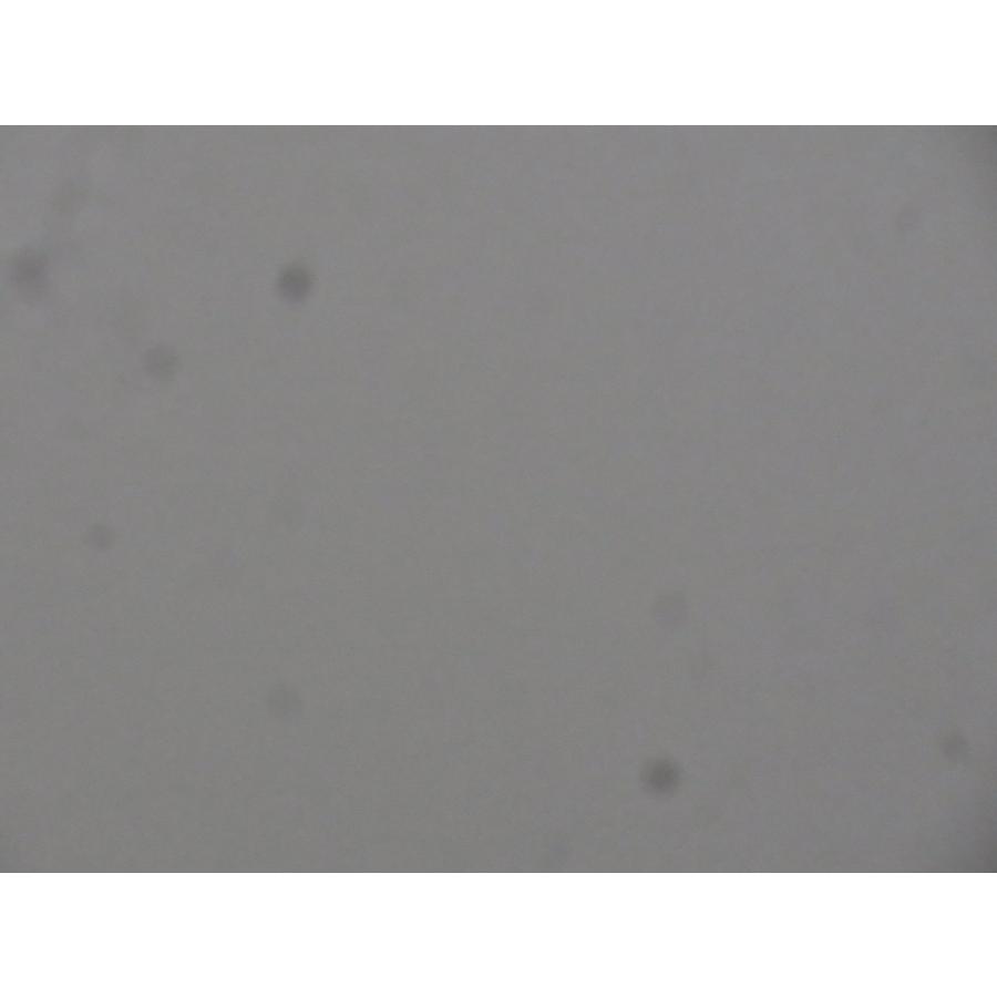 RICOH リコー CX6 ブラック ショット数234回 | リコー | 08