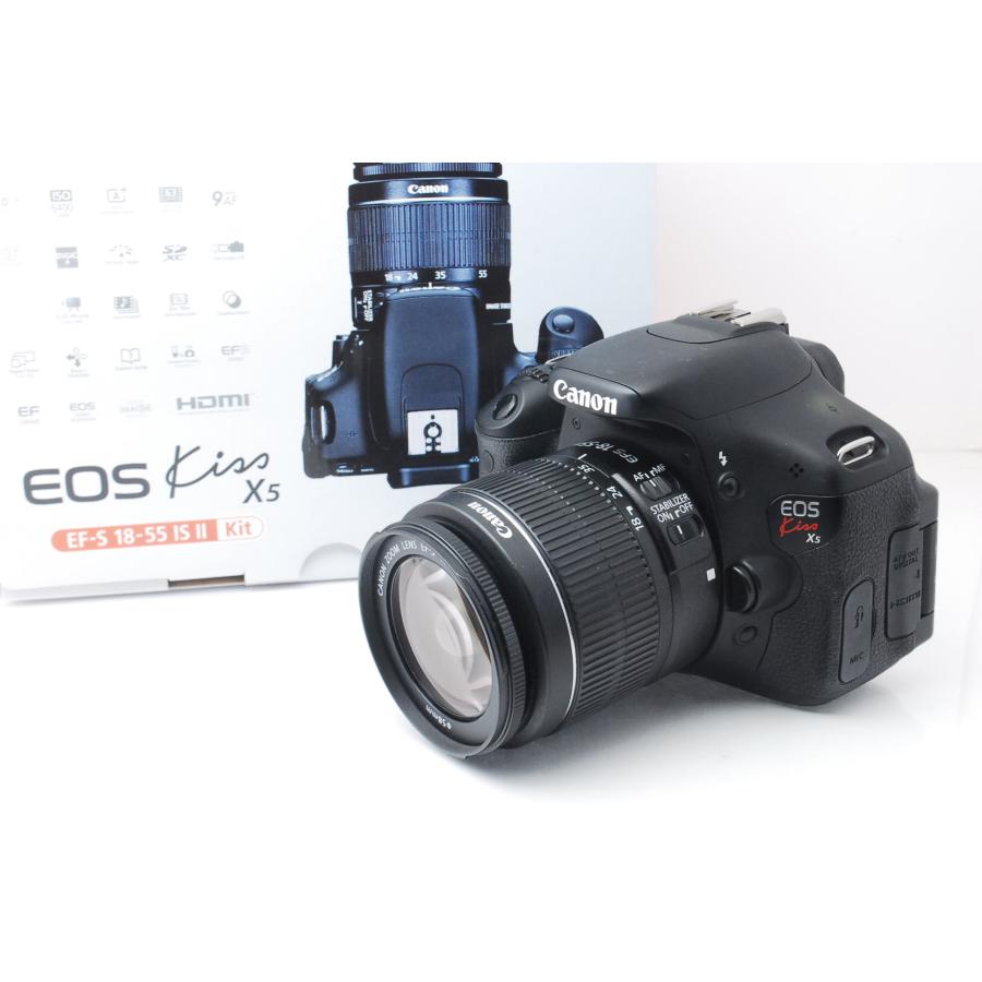 EOS Kiss Canon キヤノン X5 レンズキット ショット数858回 : 山ウサギ