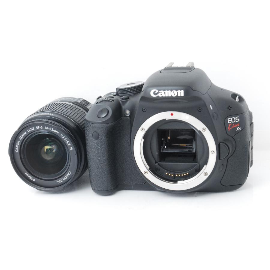 EOS Kiss Canon キヤノン X5 レンズキット ショット数858回 : 山ウサギ