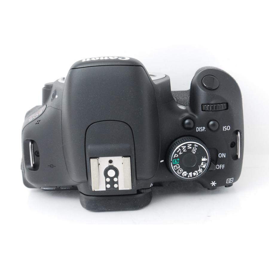 EOS Kiss Canon キヤノン X5 レンズキット ショット数858回 : 山ウサギ