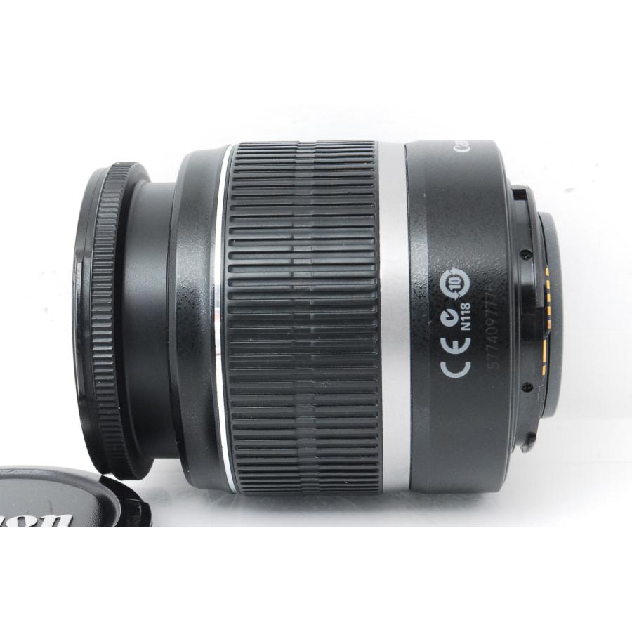 EOS Kiss Canon キヤノン X5 レンズキット ショット数858回 : 山ウサギ