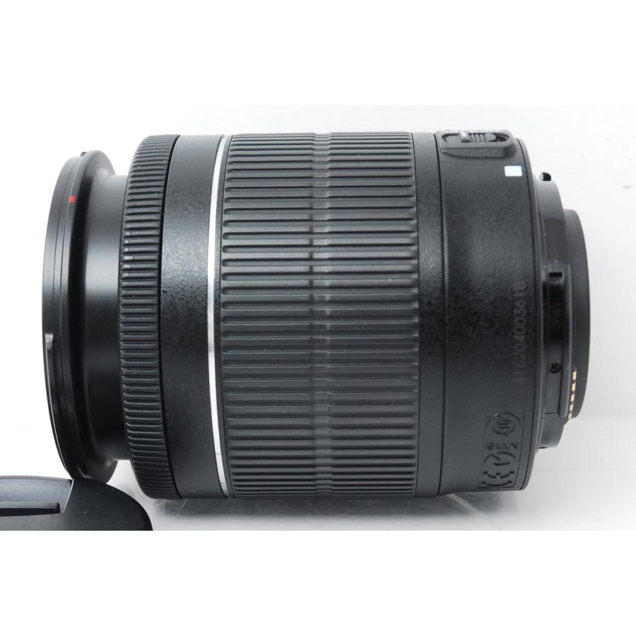 EOS 70D Canon キヤノン レンズキット ショット数19698回 : 山ウサギ