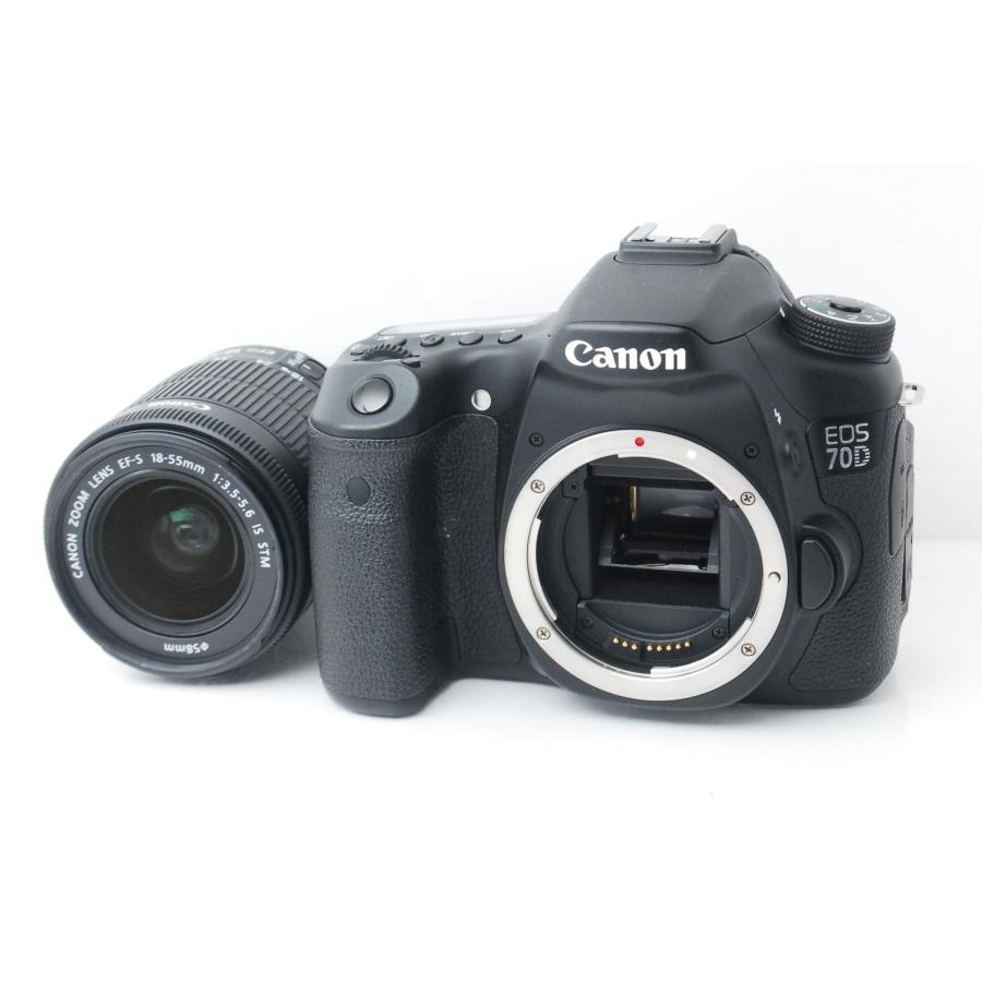 EOS 70D Canon キヤノン レンズキット ショット数19698回 : 山ウサギ