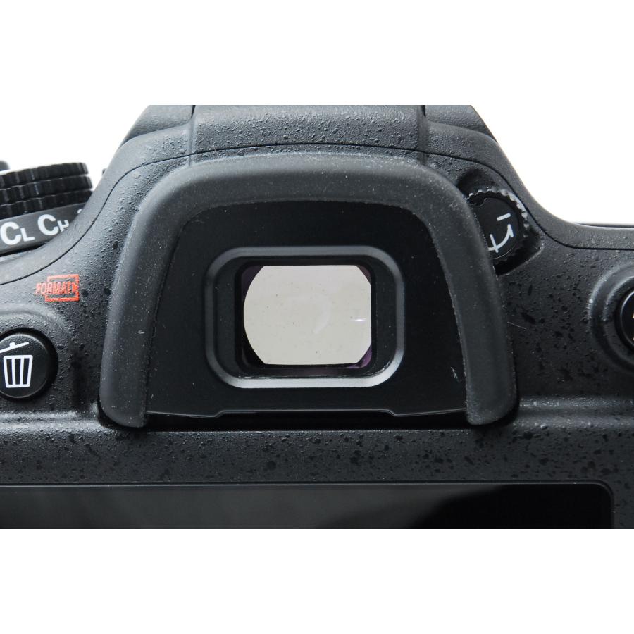 D7000 Nikon ニコン D7100 ボディ ショット数712回 : 山ウサギカメラ