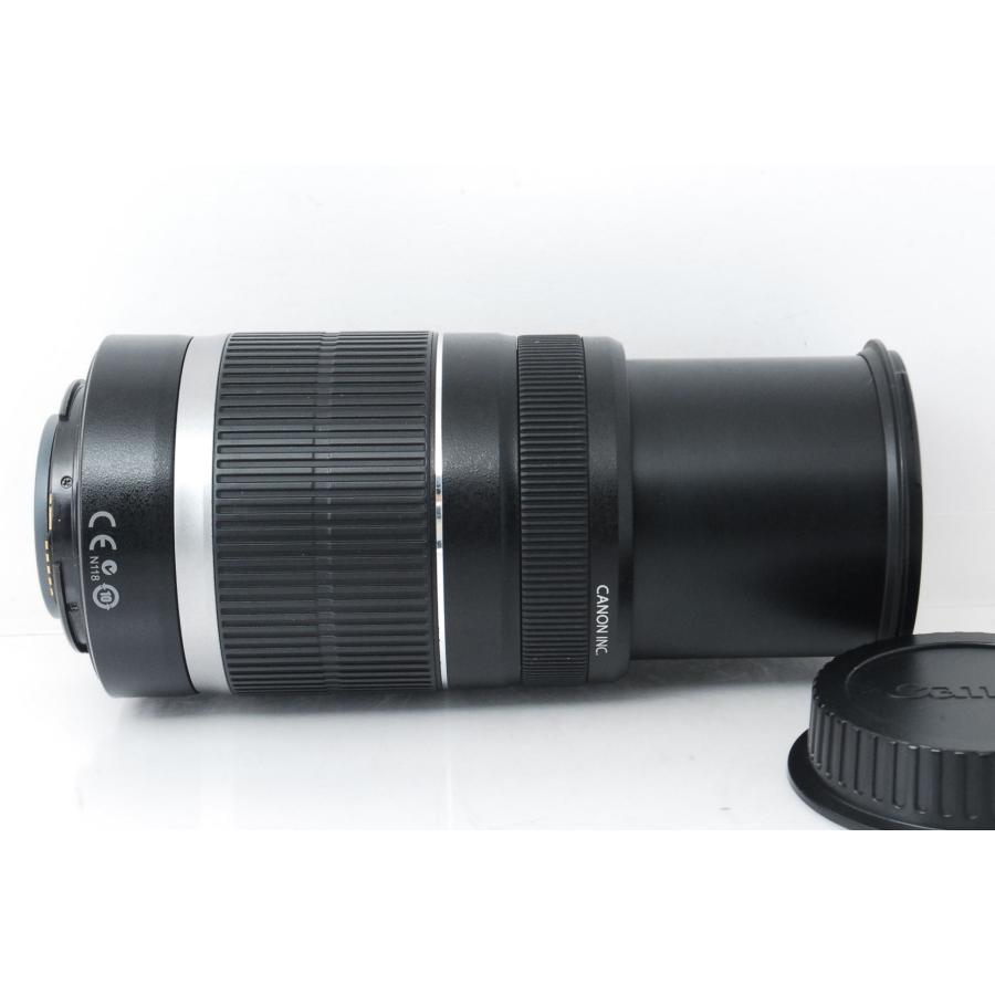 EF-S Canon キヤノン 55-250mm F4-5.6 IS 手ぶれ補正付き : 山ウサギ