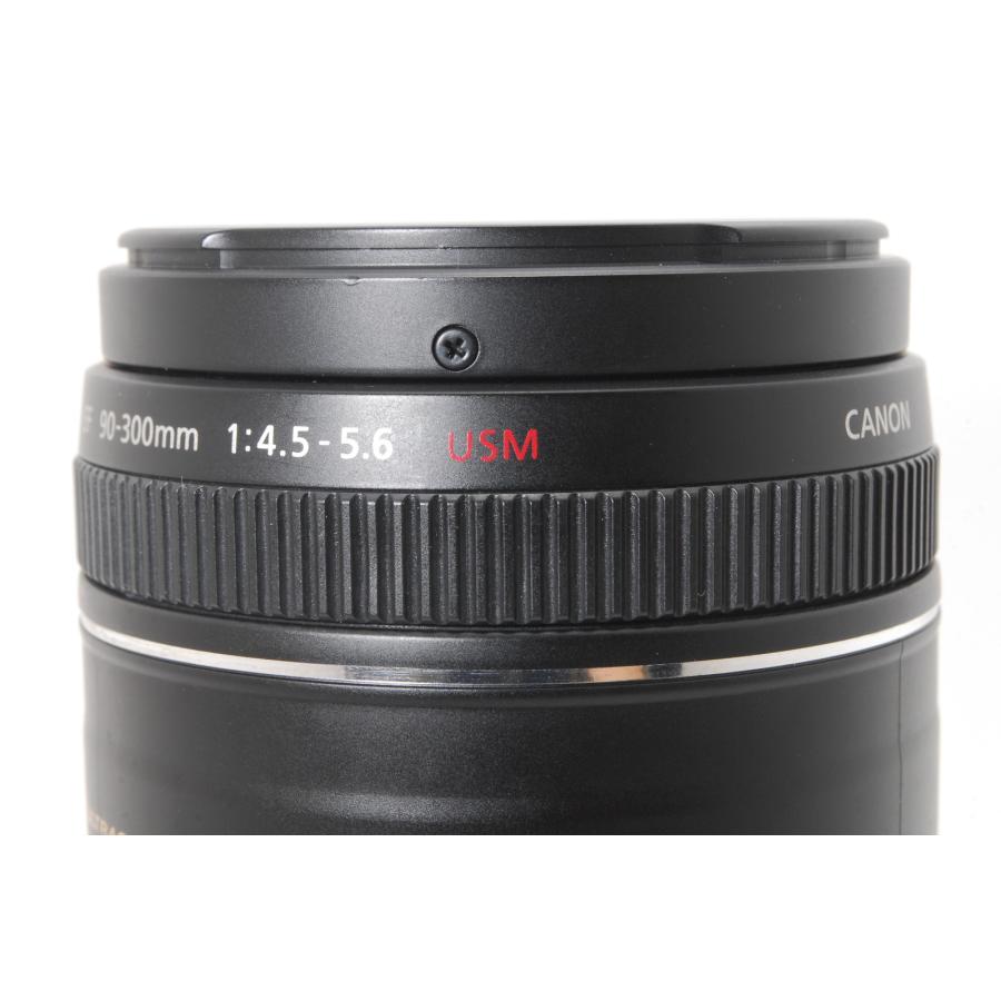 EFレンズ Canon キヤノン EF 90-300mm F4.5-5.6 USM : 山ウサギカメラ