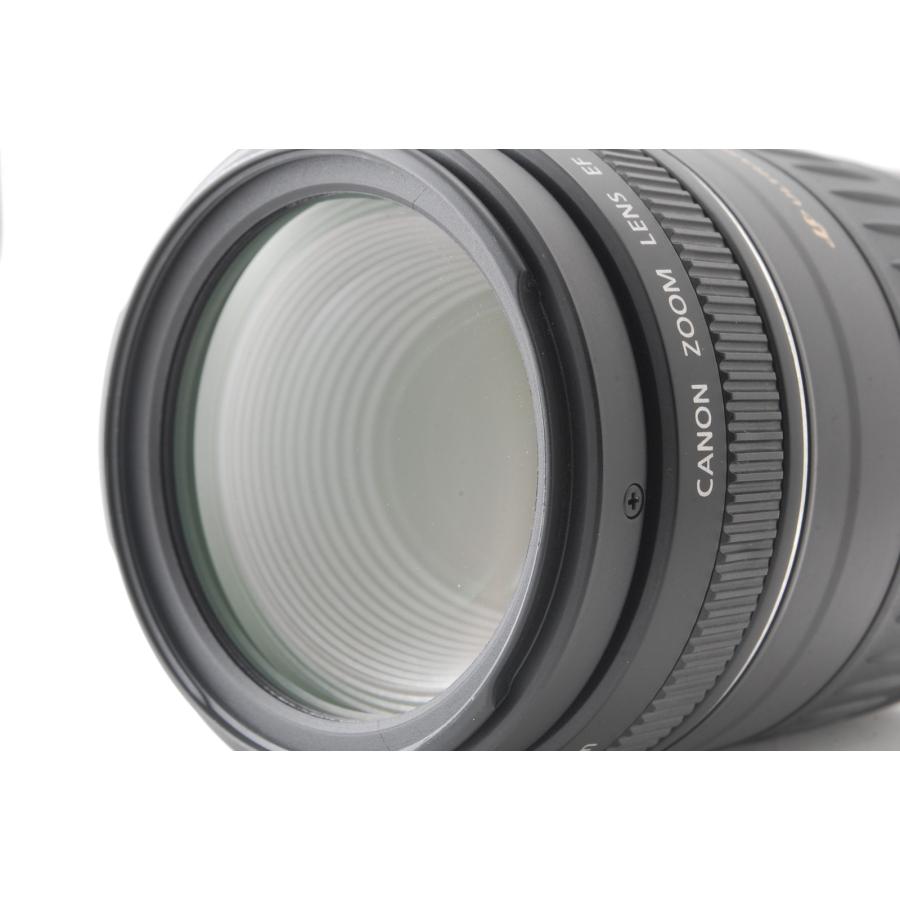 EFレンズ Canon キヤノン EF 90-300mm F4.5-5.6 USM : 山ウサギ