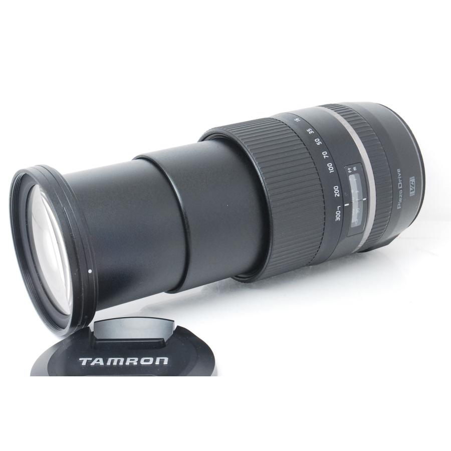 Di TAMRON タムロン 16-300mm F3.5-6.3 II VC PZD MACRO B016 Canon用