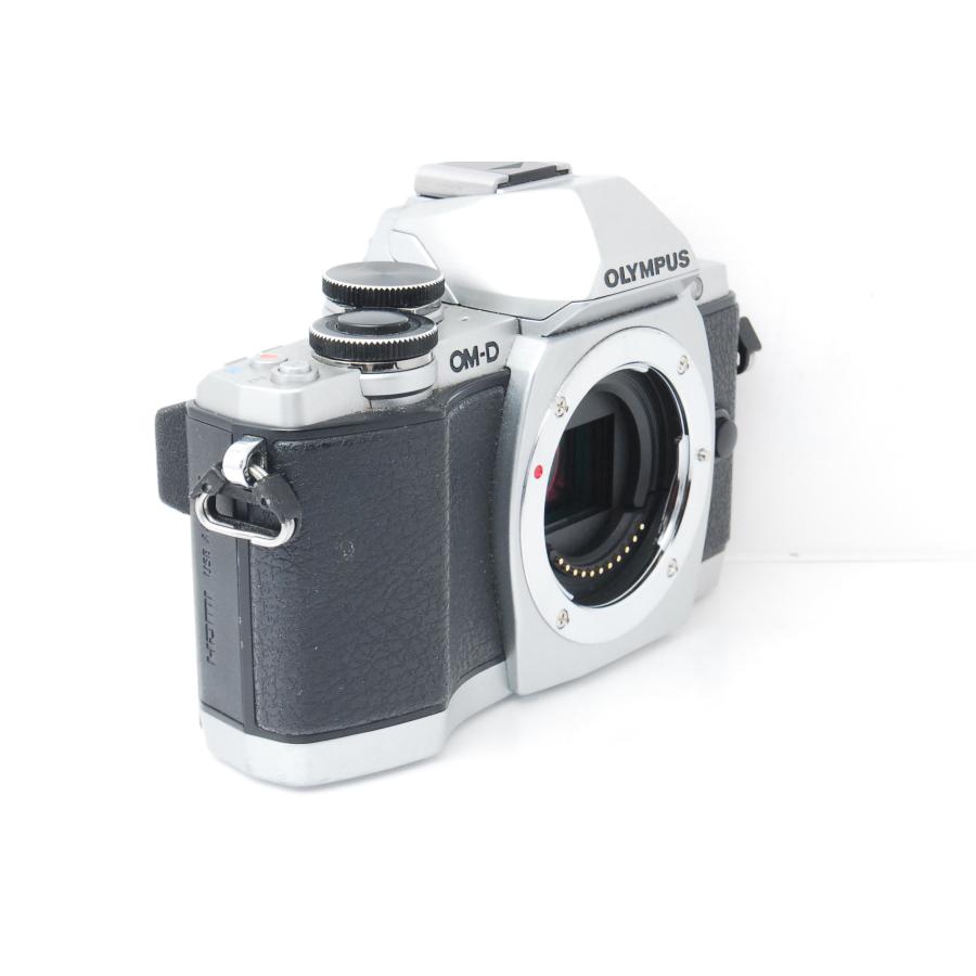 OM-D OLYMPUS オリンパス E-M10 シルバー ボディ : 山ウサギカメラ