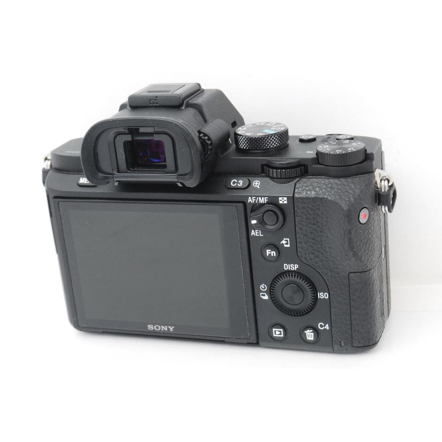 α7 SONY ソニー II ボディ ショット数2824回 : 山ウサギカメラ - 通販