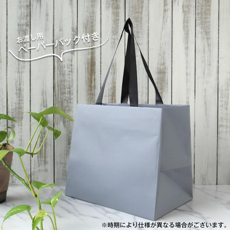Aesop イソップ ギフト セット アンドラム レスレクション Aesop イソップ ギフト セット アンドラム レスレクション