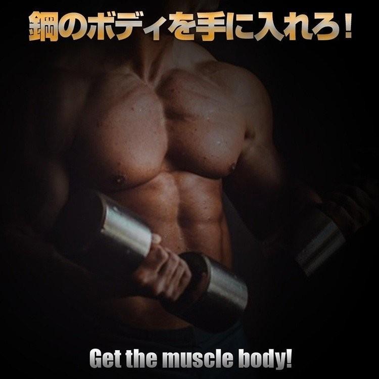 50 Off 再入荷 加圧シャツ メンズ 半袖 お得な7枚セット 着圧 インナー 補正 矯正 下着 筋トレ ダイエット 痩せる 腹筋 体幹 腹巻き 黒 白 大きなサイズ スリム 安いそれに目立つ Www Sei Ba Gov Br