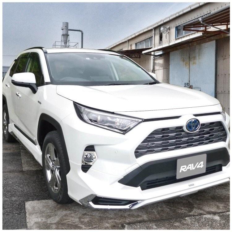 新型 RAV4 50系 フォグランプカバー メッキ 2P フォグランプ