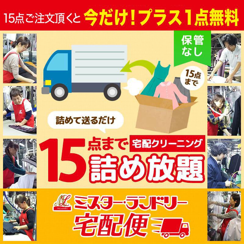 宅配クリーニング 15点セット（保管なし）只今！お得な1点プラス無料