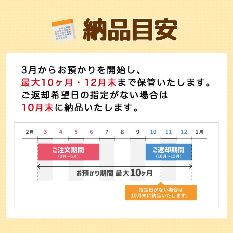 宅配\u0026保管クリーニング 10点セット 只今！お得な1点プラス無料キャンペーン実施中！の画像