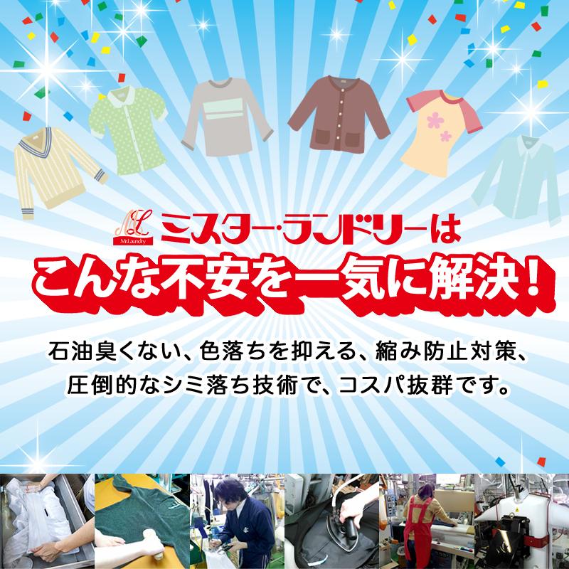 【防虫カバー付き】宅配\u0026保管クリーニング 10点セット 只今！お得な1点プラス無料キャンペーン実施中！の画像